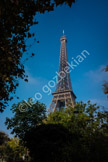 Eiffel Tower_DSF1004