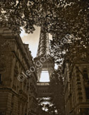 Eiffel Tower_eif1b&w