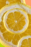lemons__LGP8420-Edit