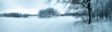 snow panorama_gor_estate_pano1682
