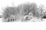 snow scene_LGP1678