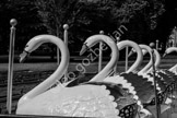 swan boats boston public gardens_LGP2938